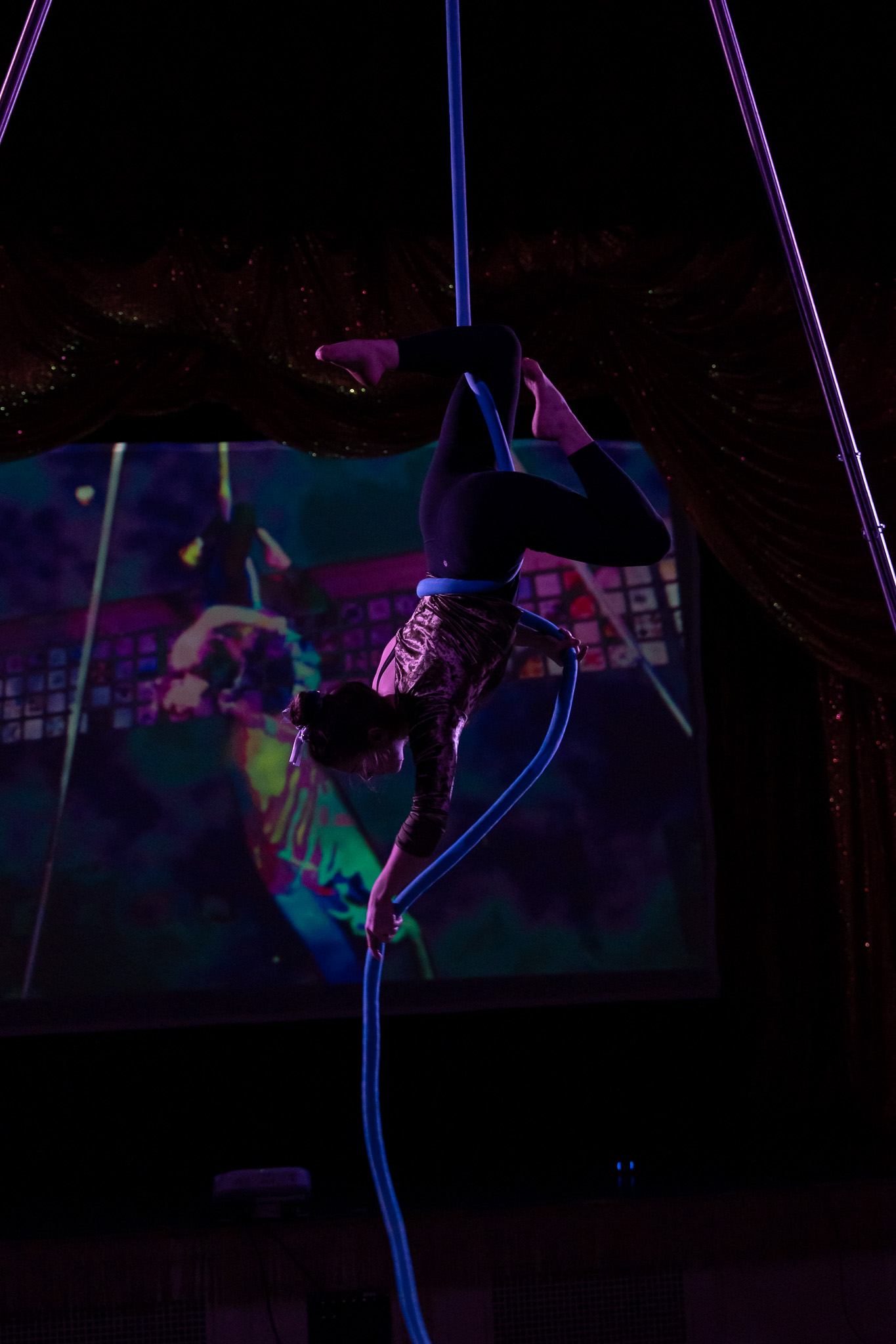 A photograph of an aerialist performing in front of a large projection screen with colorful visuals.  The aerialist is silhouetted against the projection, creating a striking contrast.